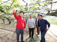 김동수 의장, 유성배 냉해 피해 현장 긴급 점검... 지원대책 마련 시급
